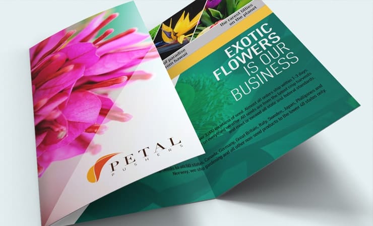 Brochures